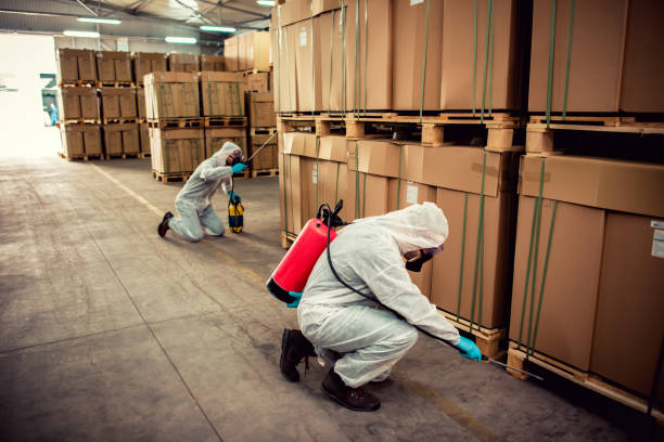 Best Residential Pest Control  in East Franklin, NJ