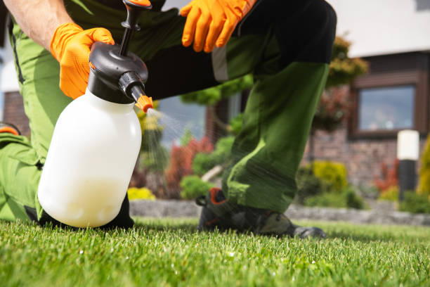 Best Commercial Pest Control Services  in East Franklin, NJ