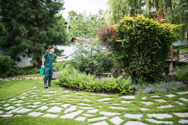 Best Local Pest Control Services  in East Franklin, NJ