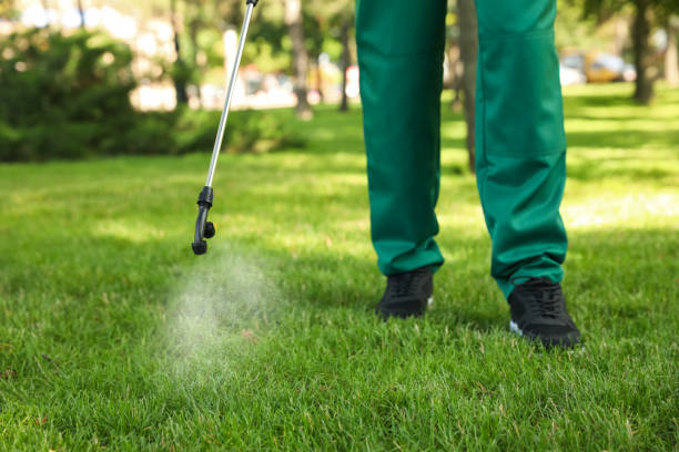 Best Mosquito Control Services  in East Franklin, NJ