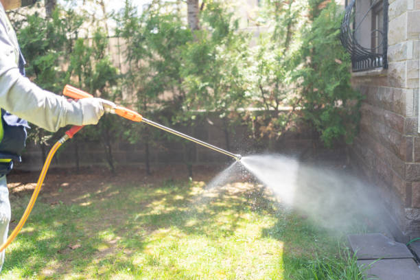 Best Emergency Pest Control  in East Franklin, NJ