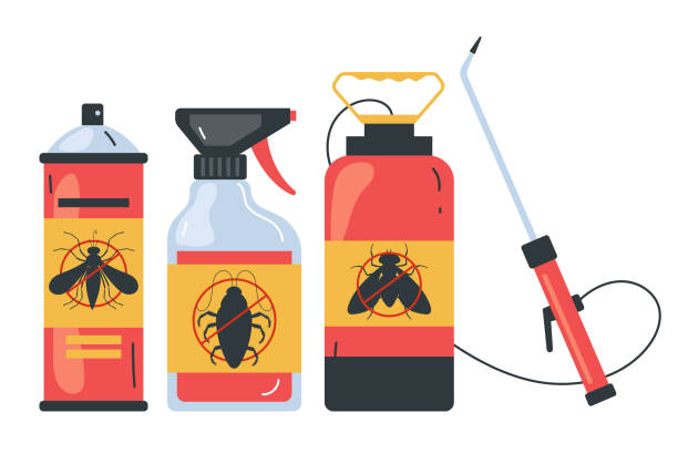 Best Ant Control Services  in East Franklin, NJ
