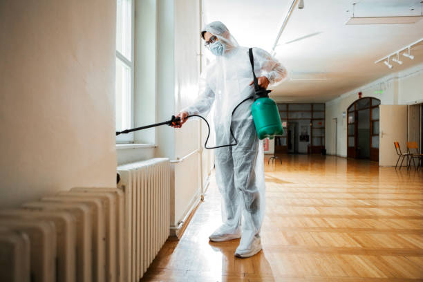 Best Bed Bug Extermination  in East Franklin, NJ